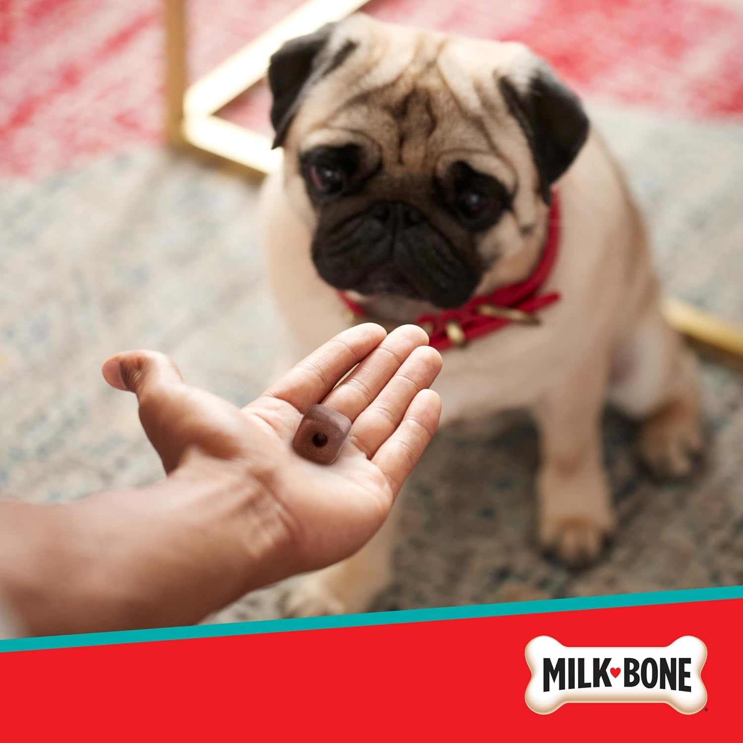 image:imageMilkBone Pill Pouches Hickory Smoked Bacon Flavor 30 Pill Pouches 74oz bag disguise your dogs pills fits most capsules and tabletsHickory Smoked Bacon