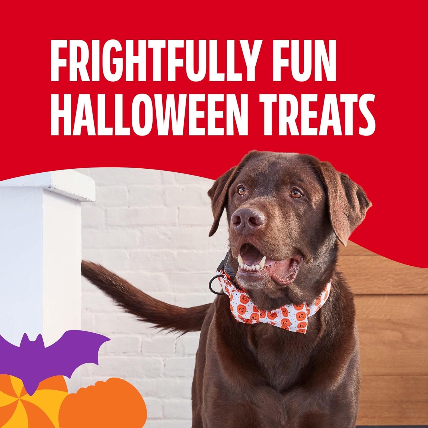 image:imageMilkBone Spooky Biscuits Halloween Dog Treats 24 Oz PailBeef
