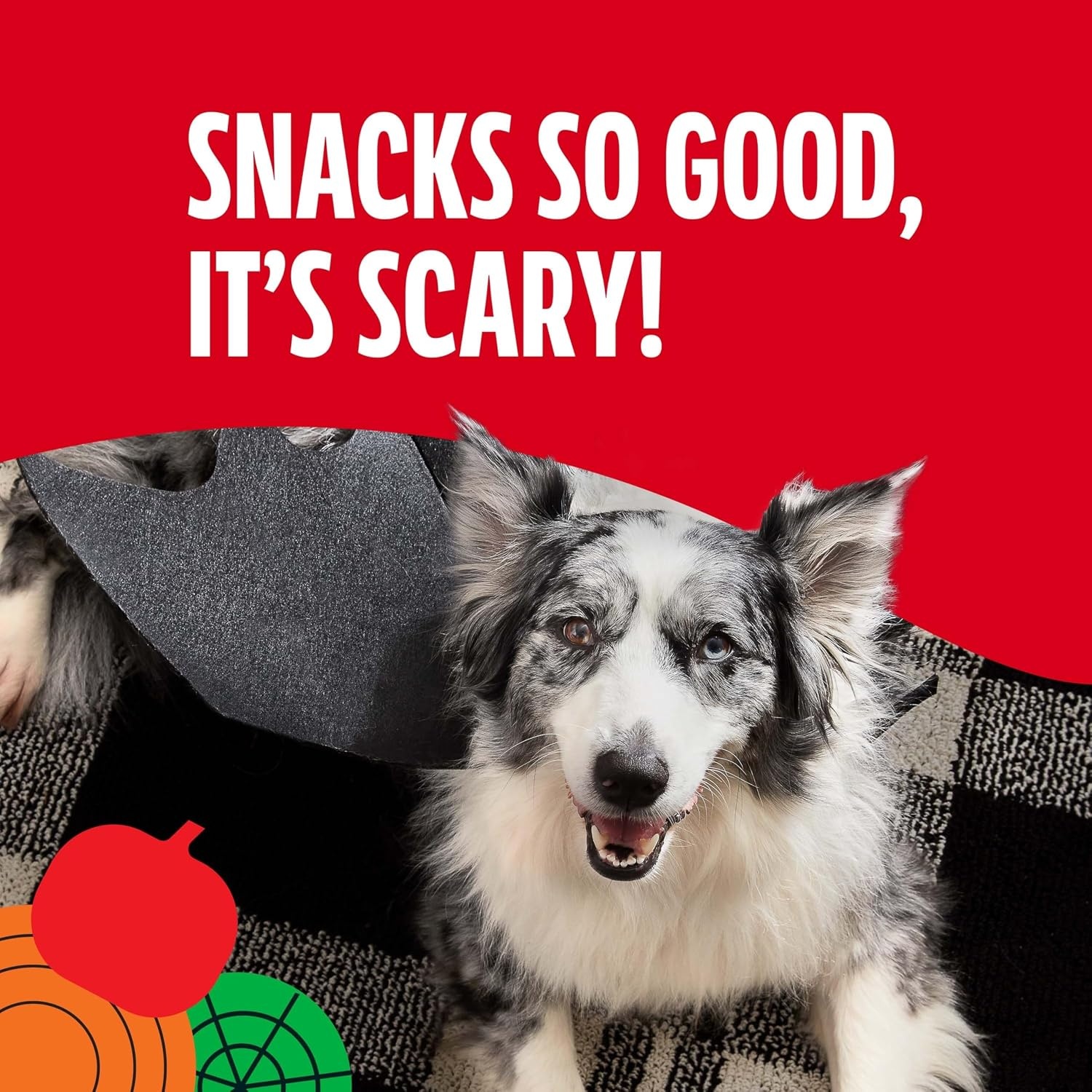 image:imageMilkBone Spooky Biscuits Halloween Dog Treats 24 Oz PailMaroSnacks
