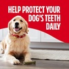 Milk-Bone Brushing Chews, Small/Medium, Fresh Flavor, 25 Dental Treats | 19.6-oz. bag, Daily dental dog treats, For dogs 25-49 lbs., Fresh mint flavor(Large)