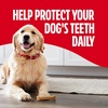 Milk-Bone Brushing Chews, Small/Medium, Original Flavor, 35 Dental Treats | 27.5-oz. bag, Daily dental dog treats, For dogs 25-49 lbs., Original chicken flavor(Chicken (Large))