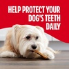 Milk-Bone Brushing Chews, Small/Medium, Original Flavor, 35 Dental Treats | 27.5-oz. bag, Daily dental dog treats, For dogs 25-49 lbs., Original chicken flavor(Chicken (Mini))