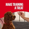 Milk-Bone Soft & Chewy Dog Treats with Real Beef & Filet Mignon, 10 Pouches | 5.6-oz. pouches, tender, tempting dog treats, easy to chew, for dogs of all ages and sizes(Training Treats: Filet Mignon)
