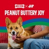 Milk-Bone Soft & Chewy Peanut Buttery Bites, 2 Bags | 24-oz. bags, soft dog treats with Jif peanut butter(Dipped Biscuits)