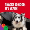 Milk-Bone Spooky Biscuits, Halloween Dog Treats, 24 Oz. Pail(Beef)